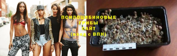 индика Алексеевка