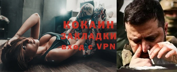 индика Алексеевка