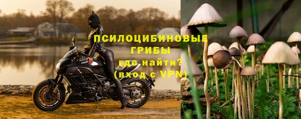 ГАЛЛЮЦИНОГЕННЫЕ ГРИБЫ Алзамай